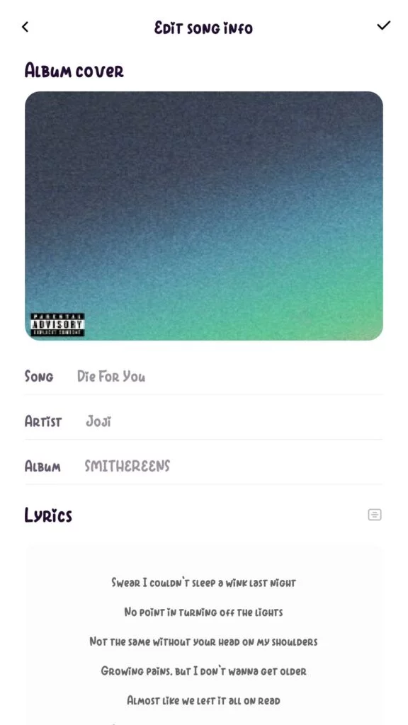 How to add lyrics in MI Music Player (MIUI 11 - 12) Android